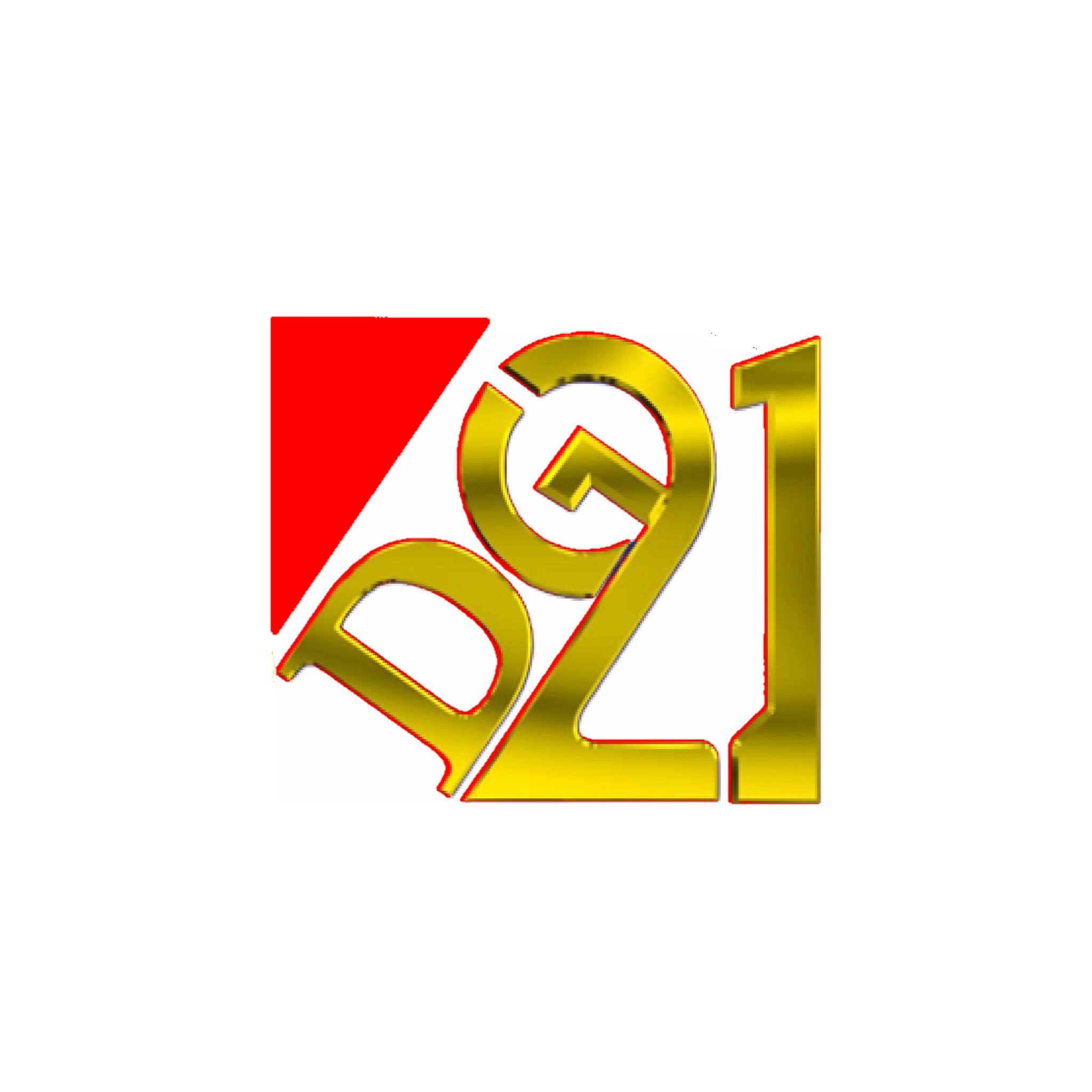 Digi 21 Systems Limited Logo